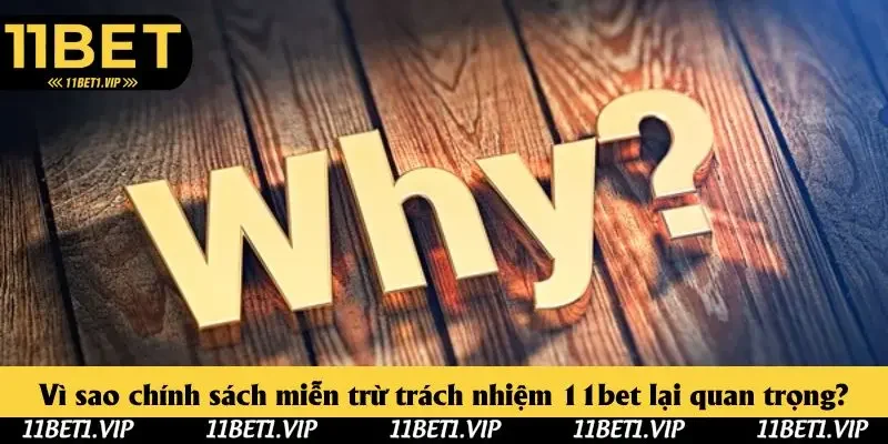 Vì sao chính sách miễn trừ trách nhiệm 11bet lại quan trọng? Vì sao chính sách miễn trừ trách nhiệm 11bet lại quan trọng?